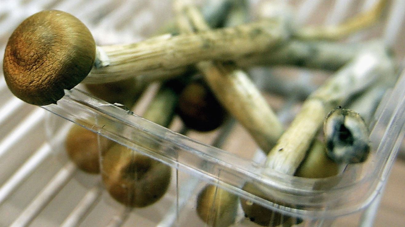 How to Do Shrooms Successfully